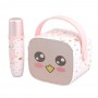 where to buy karaoke speaker with mic karaoke Bluetooth speaker portable karaoke speaker china supplier