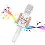 Where to buy karaoke microphone Bluetooth microphone and wireless mic China supplier.