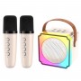 where to buy professional karaoke speakers wireless karaoke speaker and led speaker karaoke China supplier