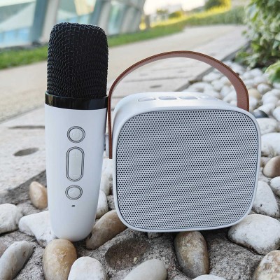 where to buy karaoke system with wireless mic karaoke sound system and karaoke speaker and microphone China supplier