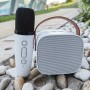 where to buy karaoke system with wireless mic karaoke sound system and karaoke speaker and microphone China supplier