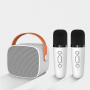 where to buy outdoor karaoke system best karaoke party speaker and wireless karaoke speaker China supplier