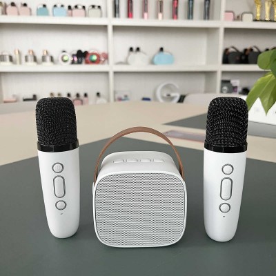 where to buy high end karaoke speakers karaoke wireless microphone with speaker and karaoke speakers for sale China supplier