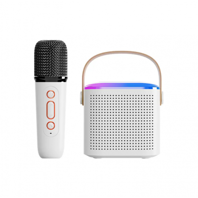 where to buy portable karaoke set portable karaoke machines and karaoke sound system China supplier