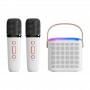 where to buy karaoke speaker system karaoke speaker with mic and good karaoke speakers China supplier