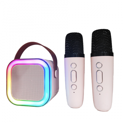 where to buy outdoor karaoke system best karaoke party speaker and wireless karaoke speaker China supplier