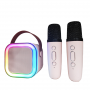 where to buy outdoor karaoke system best karaoke party speaker and wireless karaoke speaker China supplier