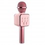 where to buy microphone family karaoke singing microphone wireless China supplier