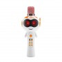 where to buy karaoke music system with wireless microphone karaoke microphone speaker price China supplier
