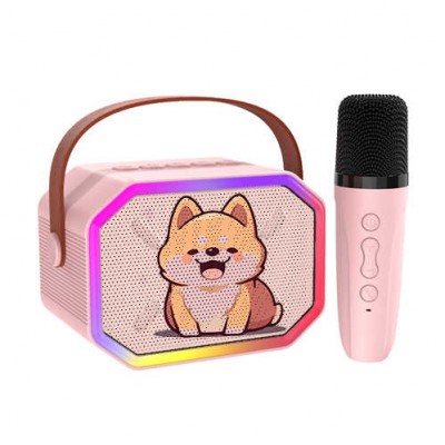 where to buy karaoke mini bluetooth karaoke loudspeaker and small karaoke speaker China supplier