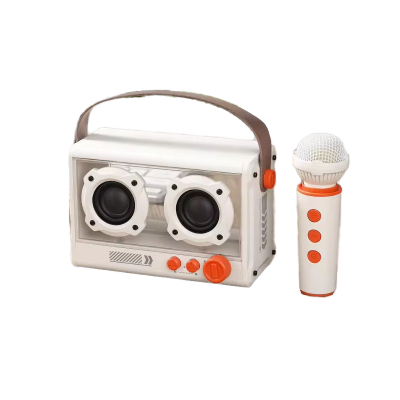 where to buy portable karaoke machines best professional karaoke speakers and wireless karaoke speaker China supplier