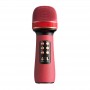 2023 hot karaoke microphone for singing
