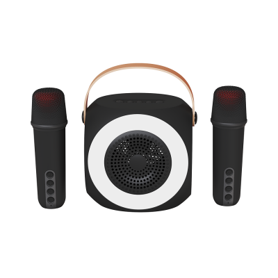 where to buy Wireless Karaoke BT Speaker, Outdoor Audio Player, Handheld Outdoor Audio Player from china suppliers