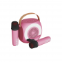 where to buy Wireless Karaoke BT Speaker, Outdoor Audio Player, Handheld Outdoor Audio Player from china suppliers