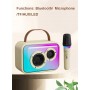 where to buy Portable Microphone Speaker Microphone Speaker Bluetooth Quality portable Microphone from China Supplier