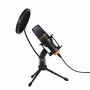 where to buy portable mic and speaker usb c wireless microphone and professional wireless mic china supplier