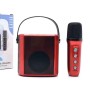 Party Speaker Karaoke Machine with Wireless Microphone RGB Light Portable Bluetooth Outdoor Speaker for Family Party