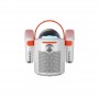 Best Bluetooth Speaker with Dual Microphone Stage Lighting Speaker with Mic for Outdoor and Family K Singing Events