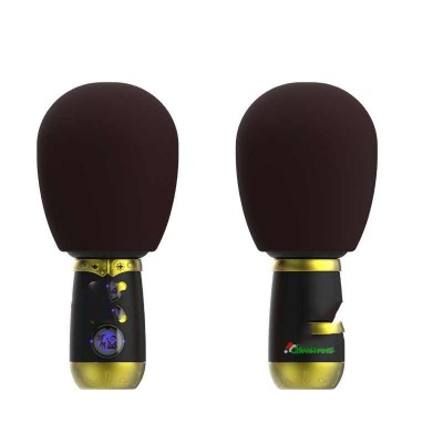 where to buy Bluetooth Karaoke Speaker Portable Karaoke Speaker and Karaoke Speaker with Mic china supplier