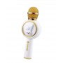 where to buy portable mic and speaker system karaoke toy and karaoke toy microphone China supplier