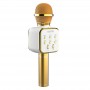 where to buy microphone family karaoke singing microphone wireless China supplier