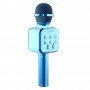 where to buy microphone family karaoke singing microphone wireless China supplier