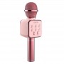 where to buy microphone family karaoke singing microphone wireless China supplier