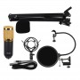 where to buy karaoke studio microphone star studio karaoke machine with mic and wireless headset with mic for pc China supplier
