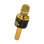 where to buy mic family karaoke singing mic wireless and best wireless headset mic for singing China supplier