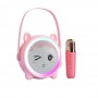 where to buy portable karaoke speaker, portable karaoke speaker with microphone from china supplier