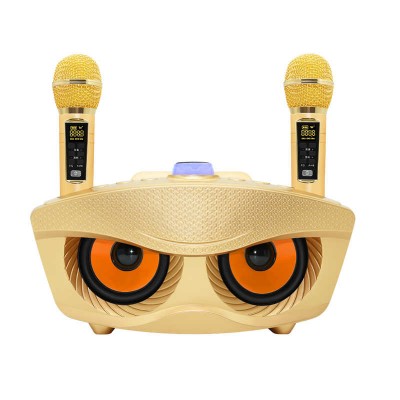where to buy portable karaoke set, custom portable bluetooth speakers from china supplier
