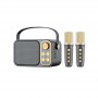 where to buy ktv speaker, karaoke wireless microphone with speaker from china supplier