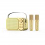 where to buy ktv speaker, karaoke wireless microphone with speaker from china supplier