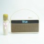 where-to-buy-karaoke-system-with-screen-portable-karaoke-speaker-with-microphone-from-china-supplier