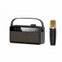 where-to-buy-karaoke-system-with-screen-portable-karaoke-speaker-with-microphone-from-china-supplier
