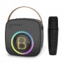 where to buy wireless karaoke speaker bluetooth karaoke speaker with microphone from China Supplier