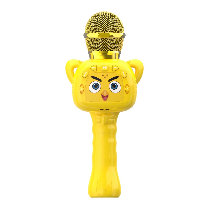 Custom Kids karaoke microphone