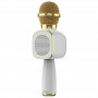 where to buy portable karaoke bluetooth speaker karaoke speaker bluetooth and best portable karaoke speaker china supplier