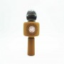 Where to buy calf speaker microphone carise speaker and microphone set and microphone for karaoke speaker china supplier