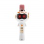where to buy karaoke music system with wireless microphone karaoke microphone speaker price China supplier