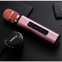 Where to buy portable karaoke set wireless microphone headset and karaoke and microphone China supplier