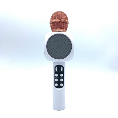 where to buy karaoke system for home best wireless microphone and professional karaoke system China supplier