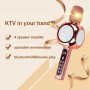 where to buy karaoke speaker karaoke speaker with mic and karaoke speaker system china supplier