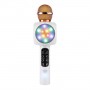 where to buy best cordless microphones cordless microphones and professional karaoke equipment China supplier