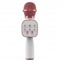 where to buy professional karaoke system professional wireless mic and giftmic China supplier