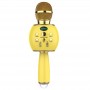 where to buy handheld ktv wireless microphone best portable karaoke and karaoke stereo system China supplier