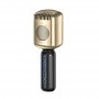 where to buy retro mikrofon best karaoke set and best wireless vocal mic China supplier