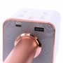 where to buy wireless karaoke microphone portable mic and wireless mic china supplier