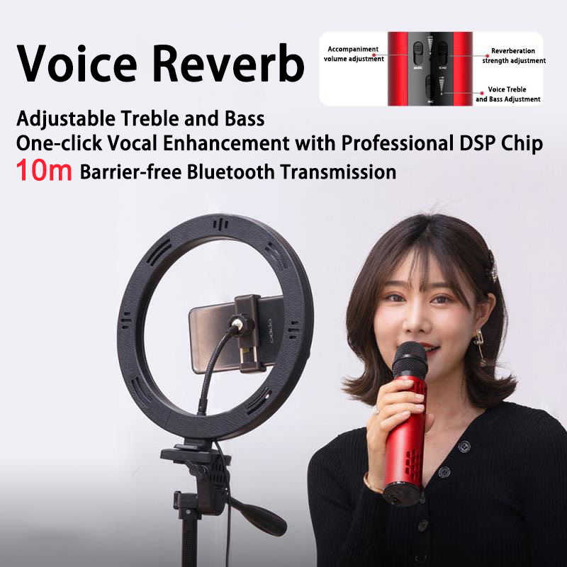 where to buy karaoke microphone bt microphone and mic wireless mic china supplier