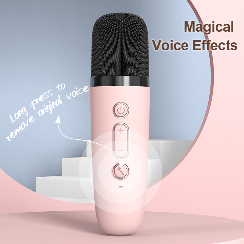 where to buy portable karaoke speaker karaoke mini bluetooth and wireless karaoke speaker China supplier